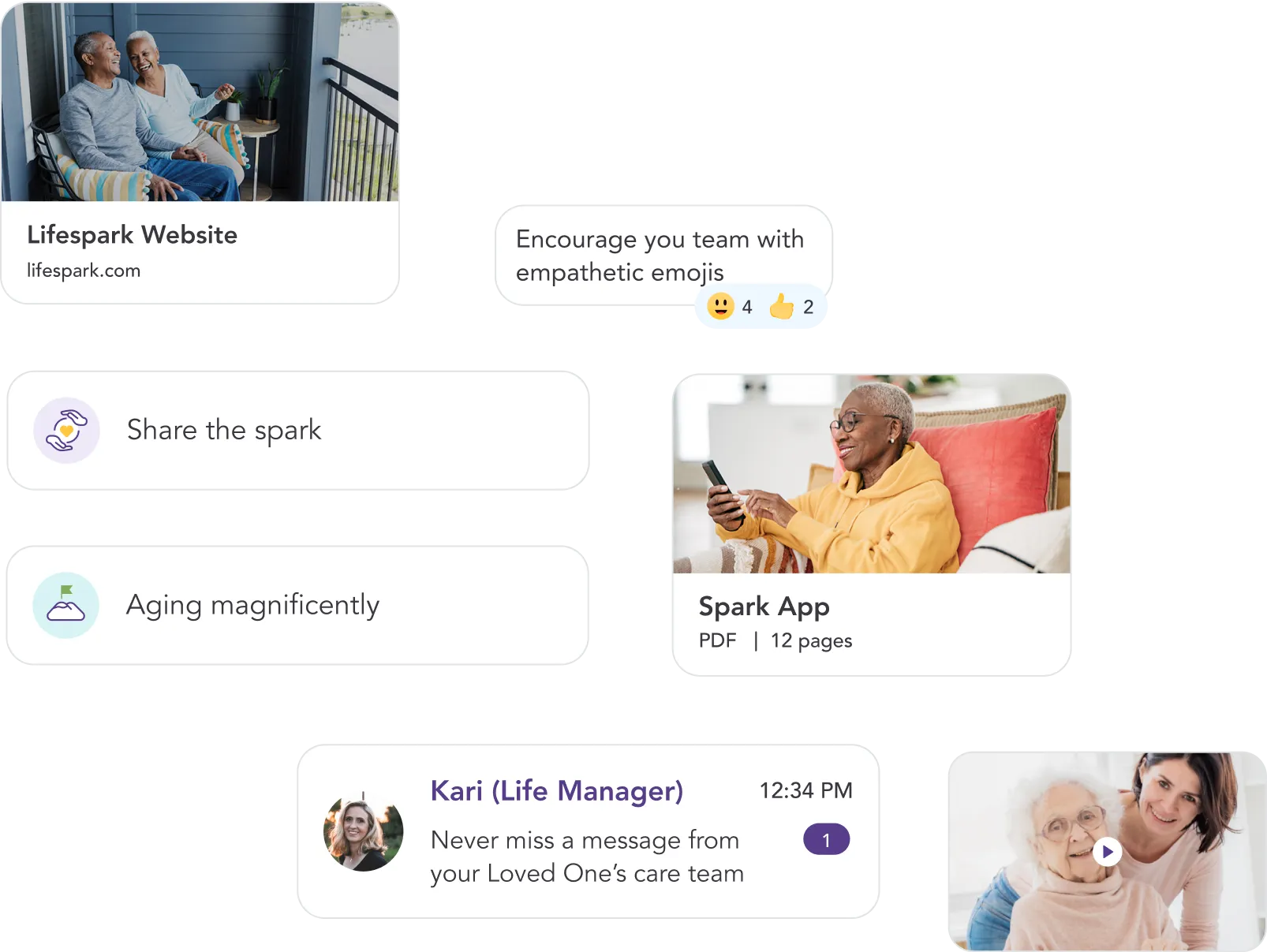 Images of the Lifespark design system