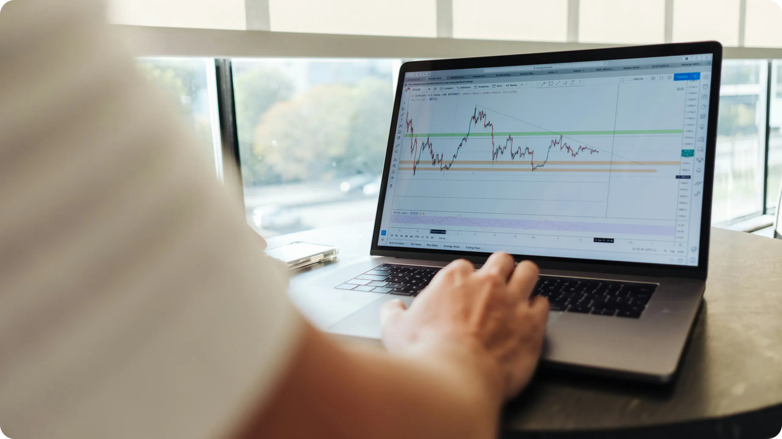 Person viewing a stock market chart on a computer.